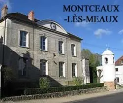 epaviste gratuit Montceaux-lès-Meaux (77470)