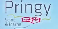 epaviste gratuit Pringy (77310)